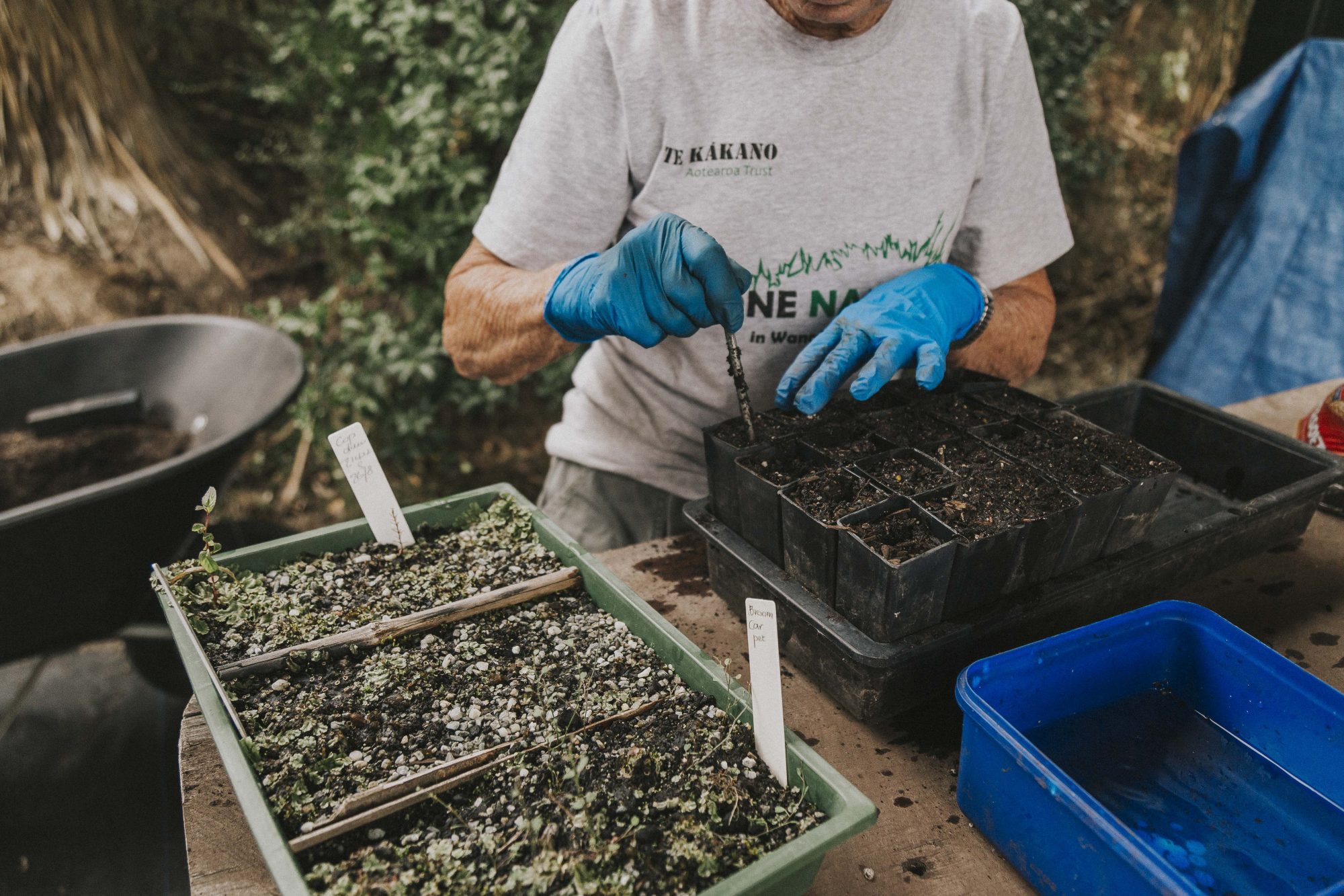 planting-day-te-kakano-wanaka