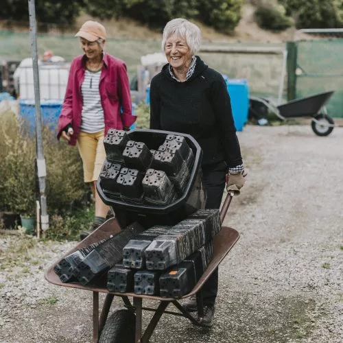  Get to know Te Kākano: inspiring native revegetation thumbnail