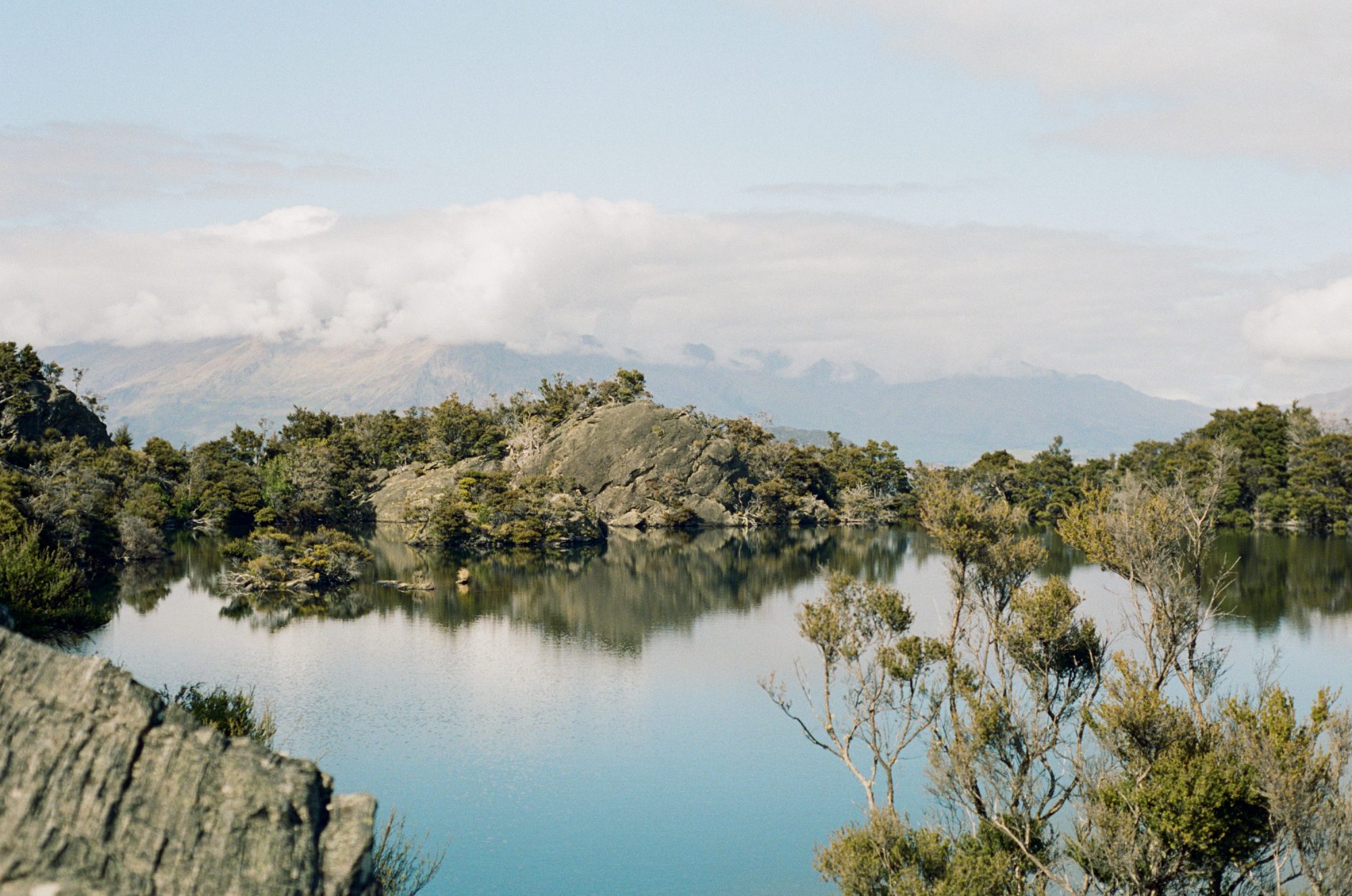View over a lake with natural shrubs.