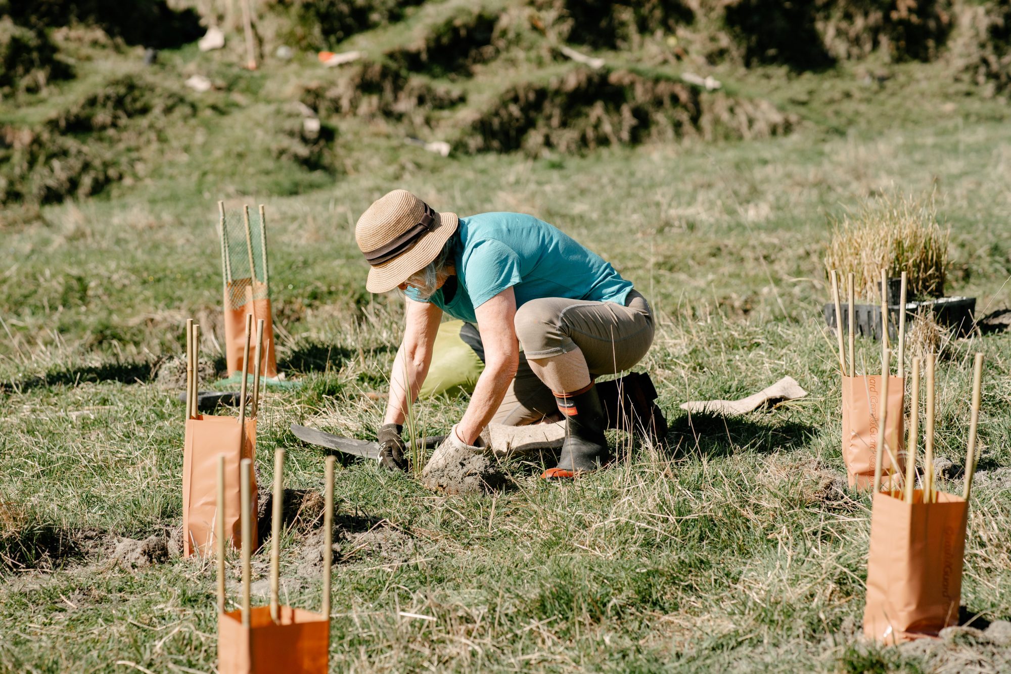 Person planting natives in a community area.