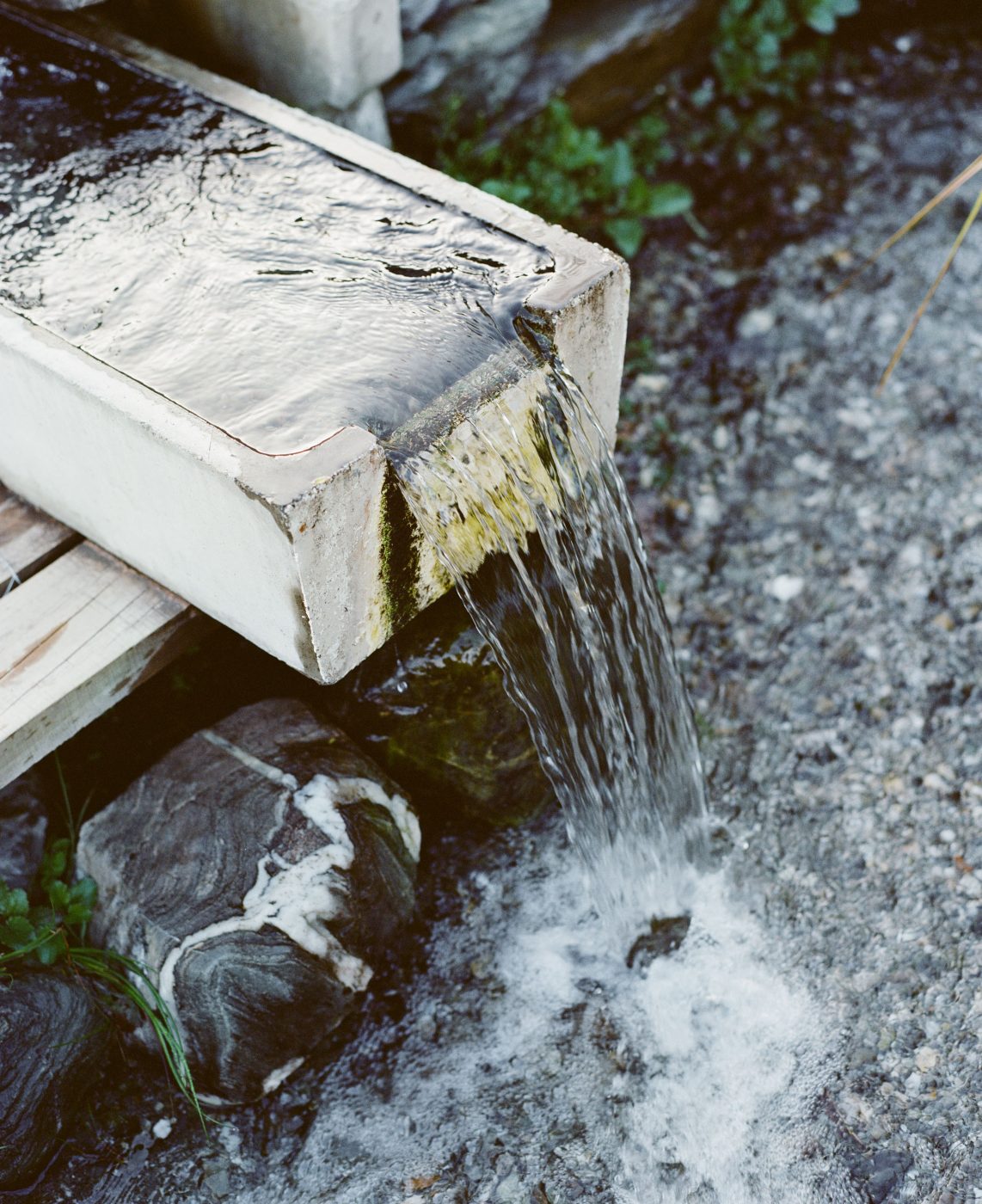 Wanaka-Community-Fund-Biddi-Rowley-Water-Ways- 2