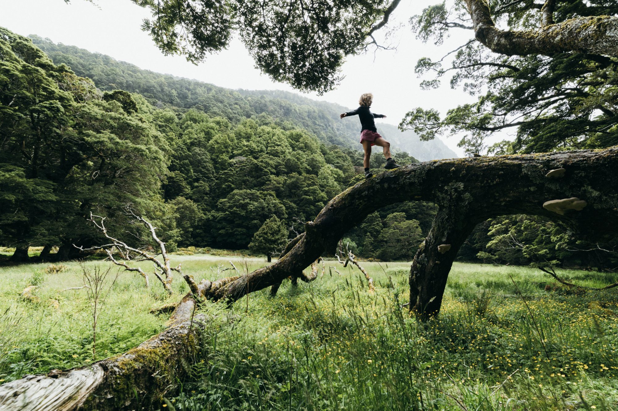 Girl walking on large fallen tree in the wilderness.