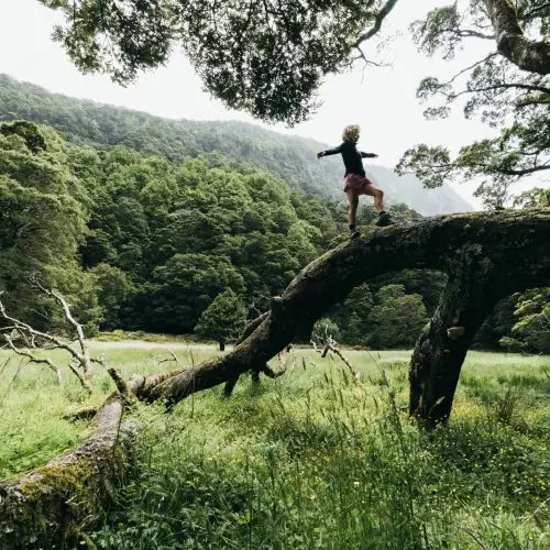  What Makes Wānaka's Environment a Treasure Worth Protecting? thumbnail