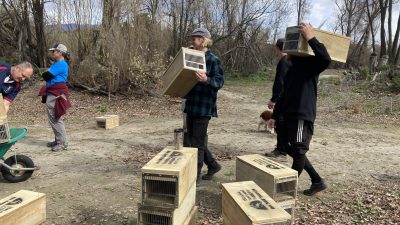 People making pest trapping boxes