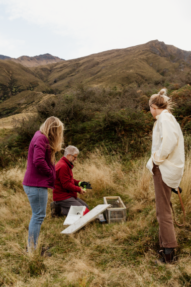 Tour guide checks pest trap in alpine environment