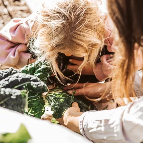  Building community through collaboration at Grow Wānaka thumbnail