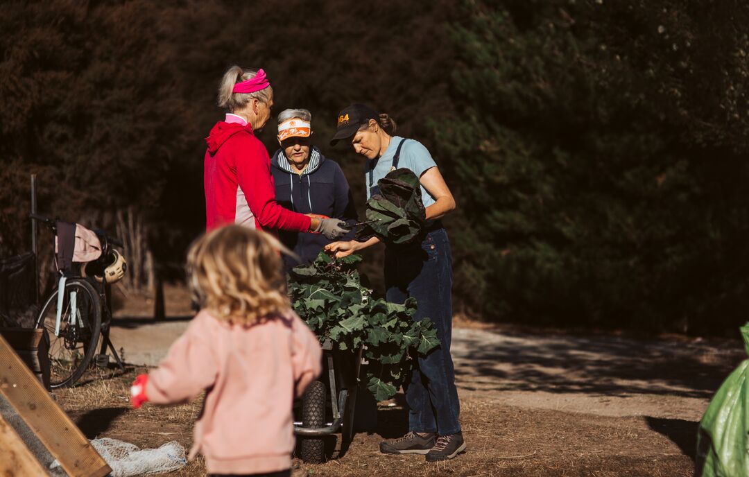 Large_JPG-Grow Wānaka (2)