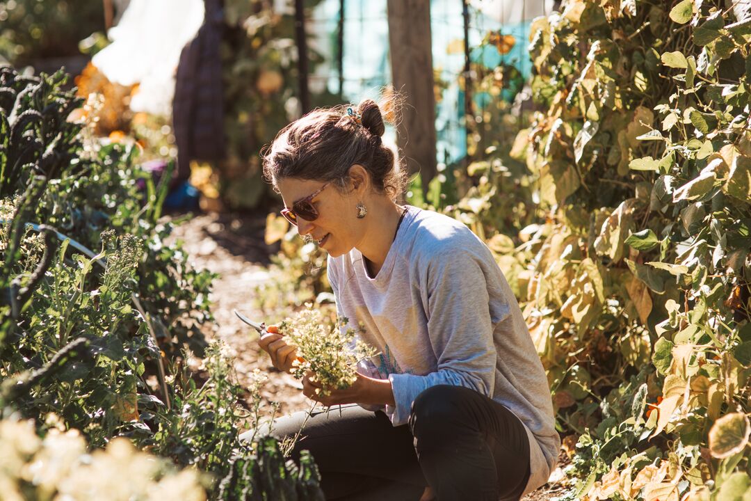 Large_JPG-Grow Wānaka (3)