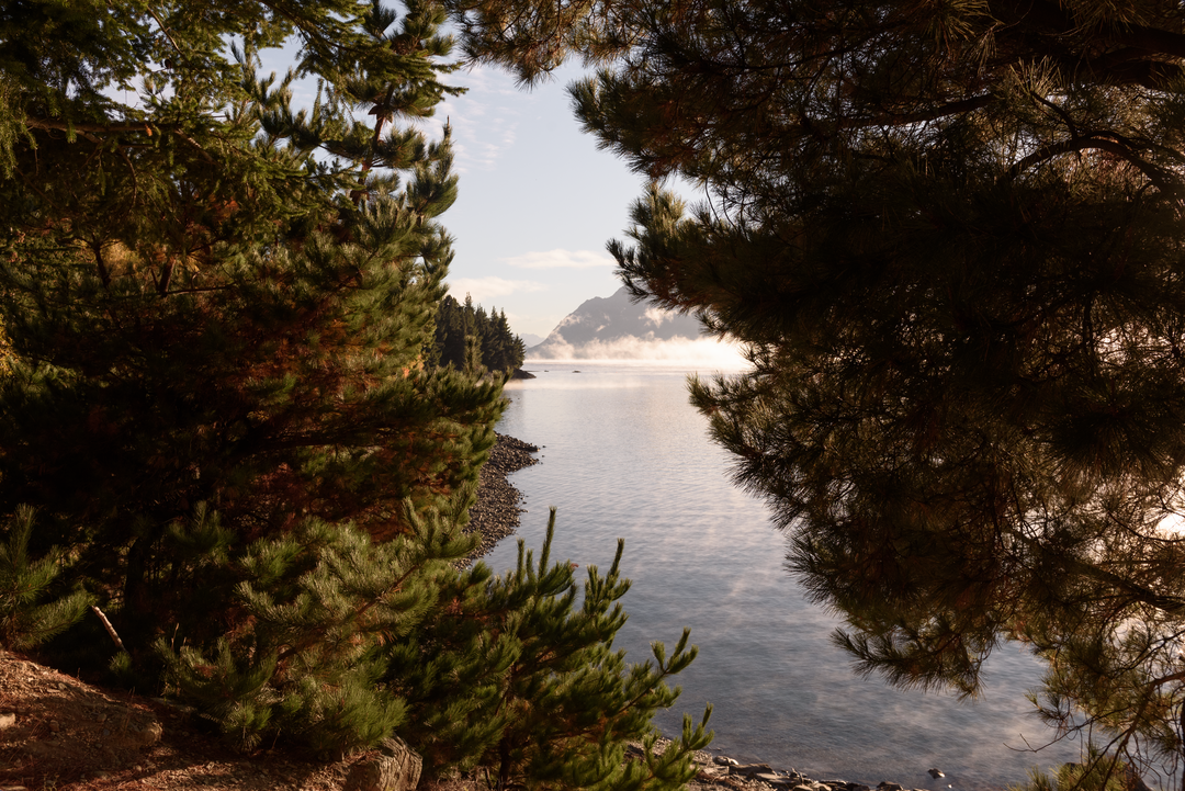 Large_PNG-Wanaka-The-Camp-glamping-ShanBawden 05