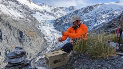 Man checks pest trap in alpine environment