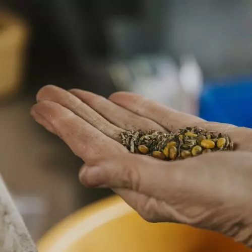  2024 Impact Grant Recipients thumbnail