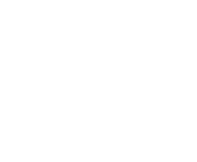 ZQN Queenstown Airport Logo