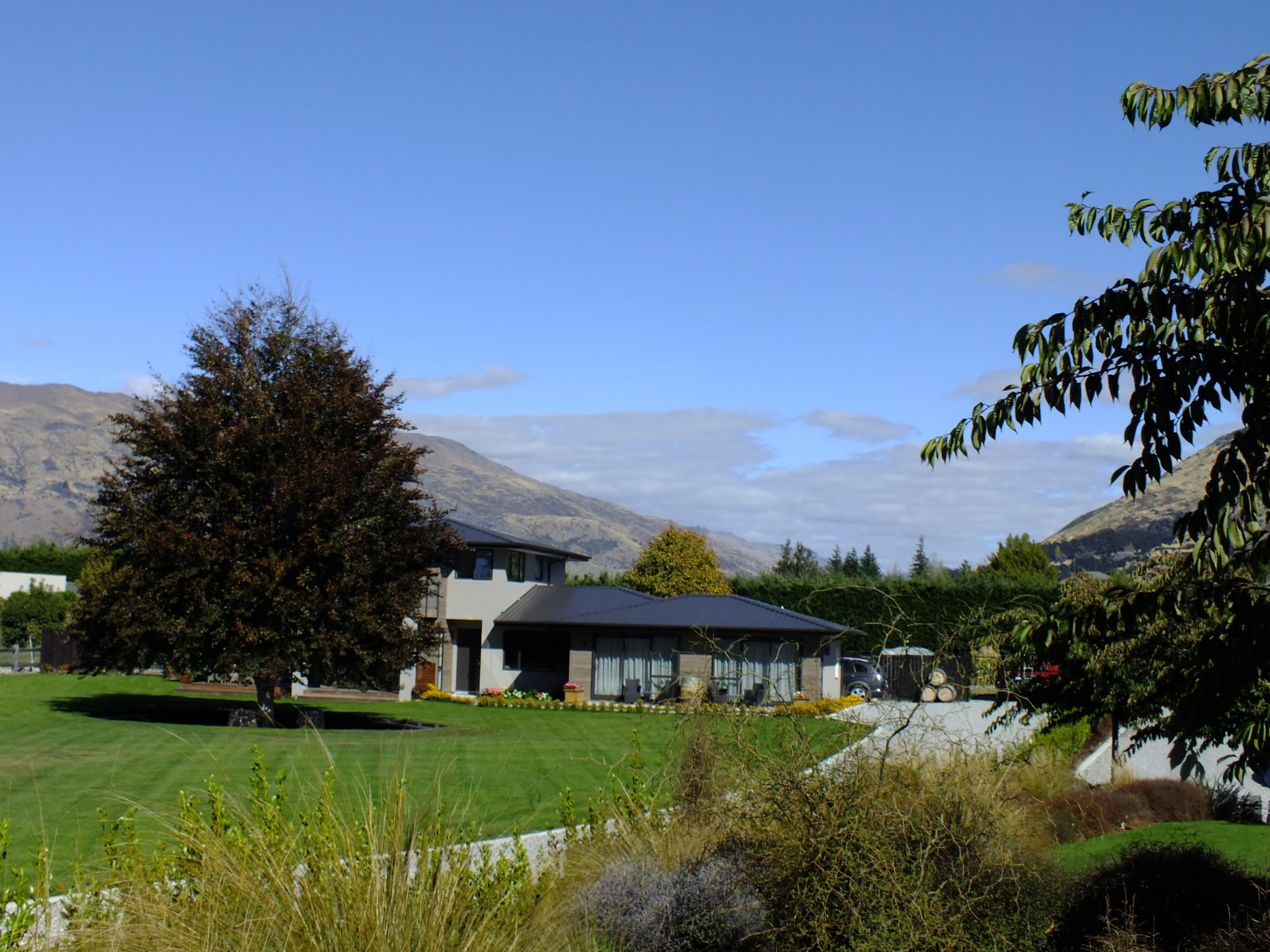 Copper-Beech-Wanaka-BB-Exterior