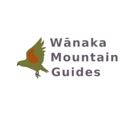 Wānaka Mountain Guides logo