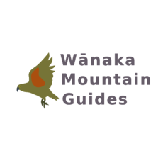 Wānaka Mountain Guides logo