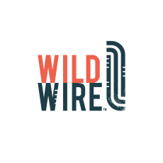 Wild Wire Wanaka Logo