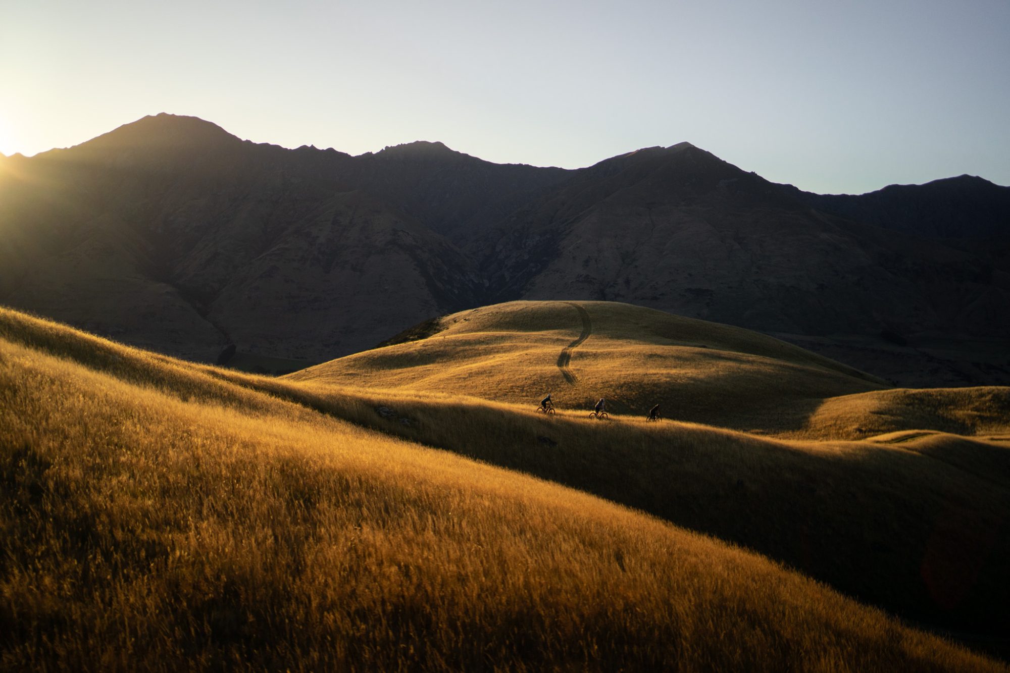 Golden evening light illuminates Bike Glendhu Wānaka's rolling hills and mountain bike trails, with Roys Peak's distinctive silhouette rising dramatically in the background