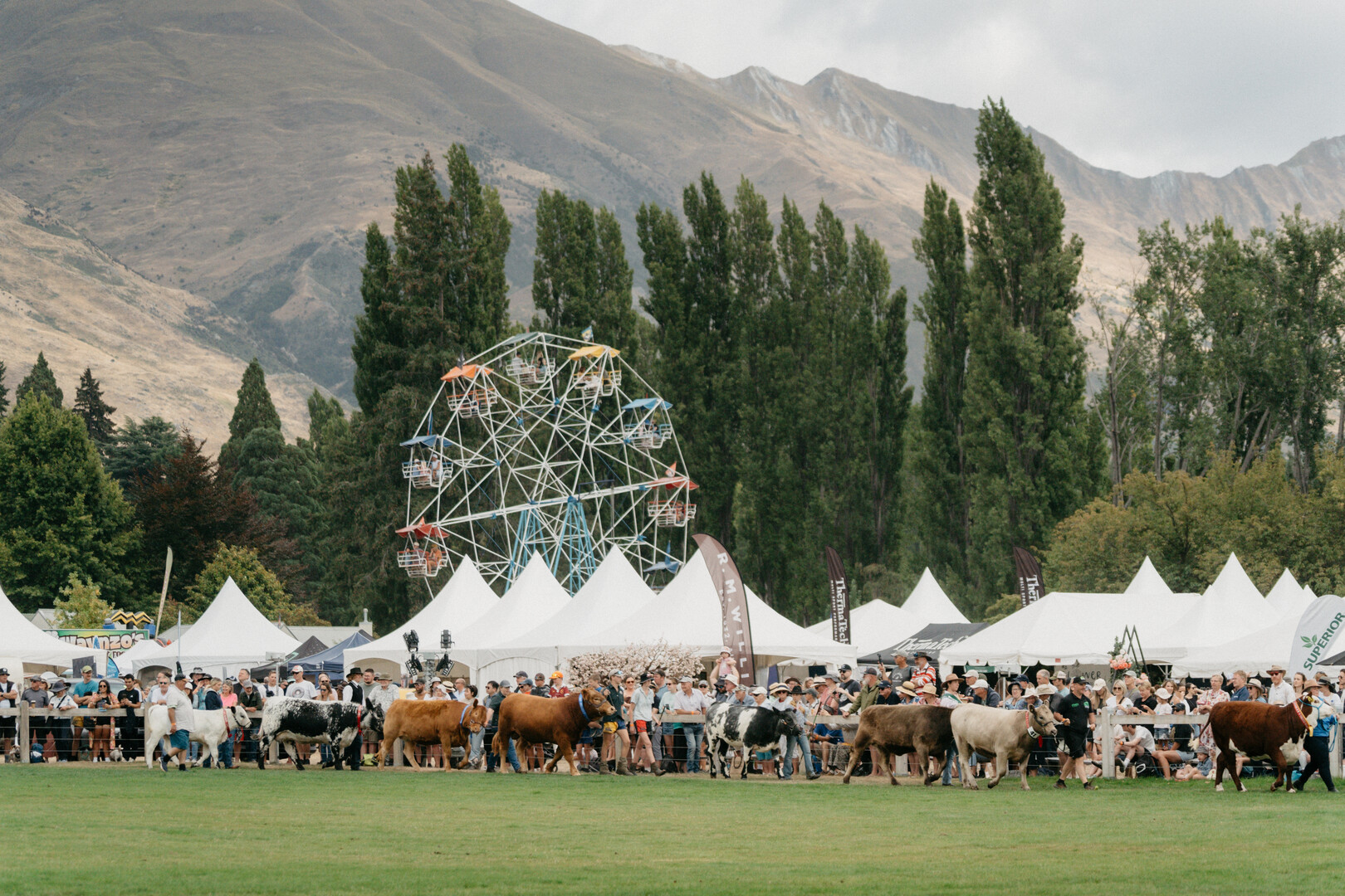 Wānaka A&P Show 2025