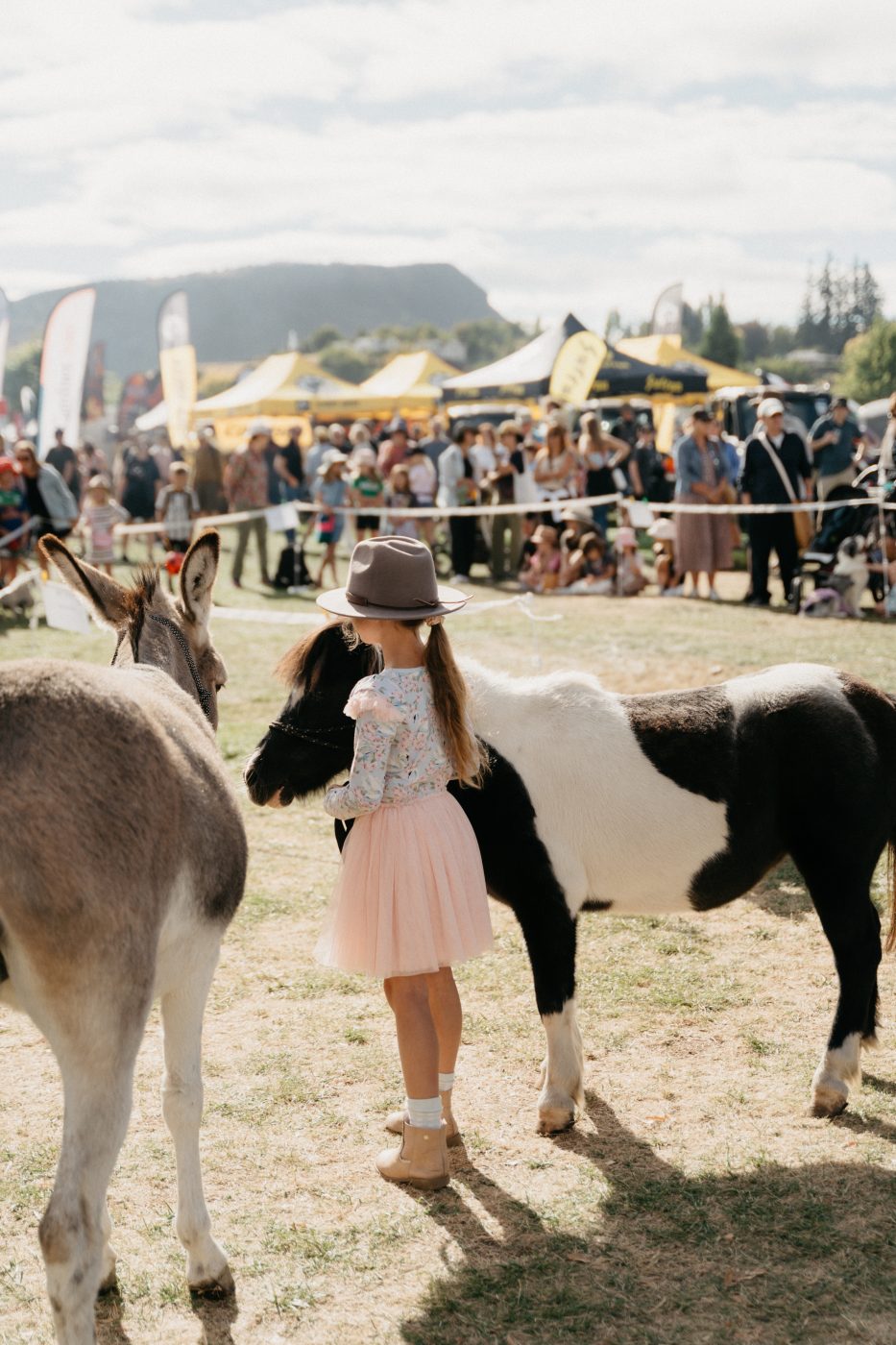 Wānaka A&P Show 2025 Victoria Sheridan (1)