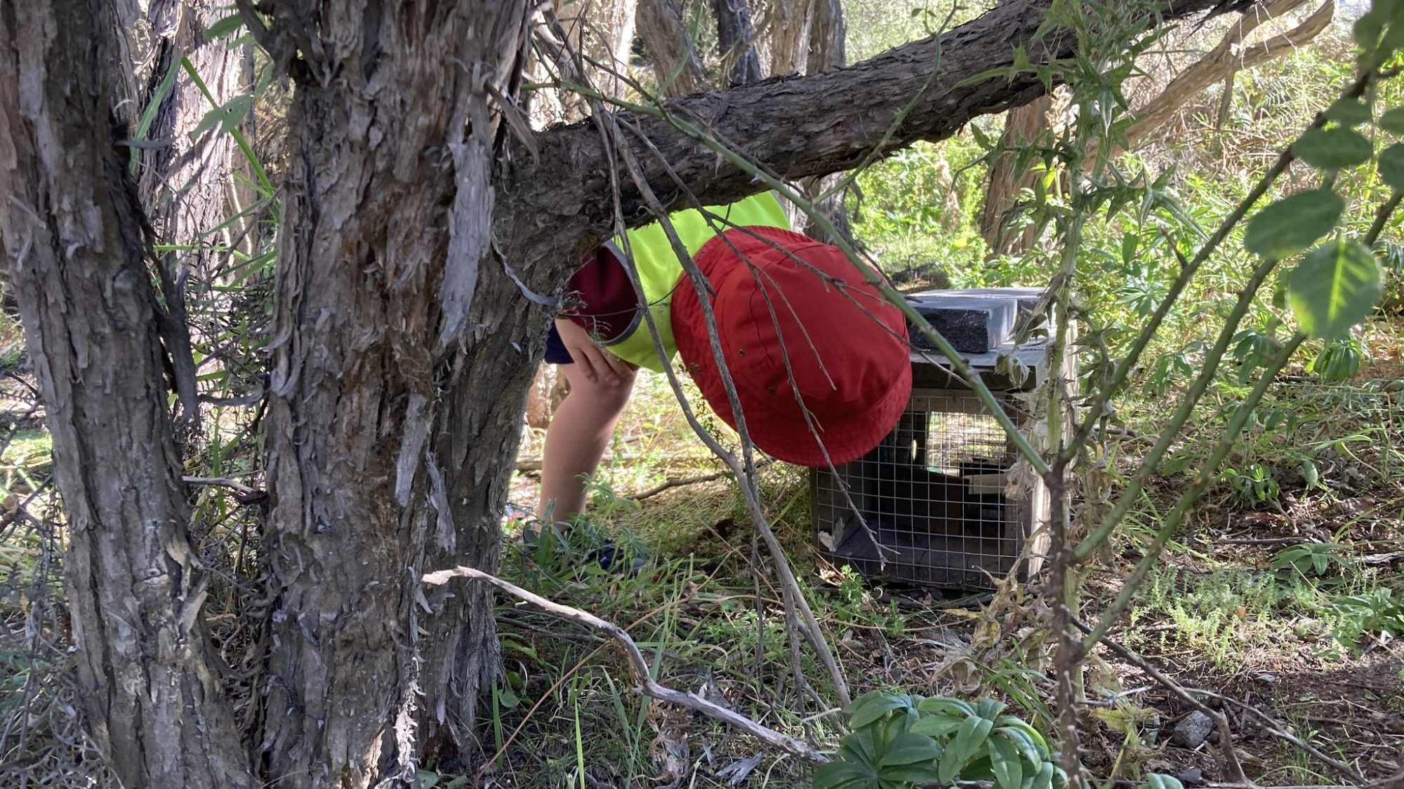 478225158_927335162904495_6685356352372399055_n