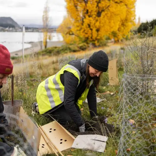  Your Guide to Volunteering in Wānaka thumbnail