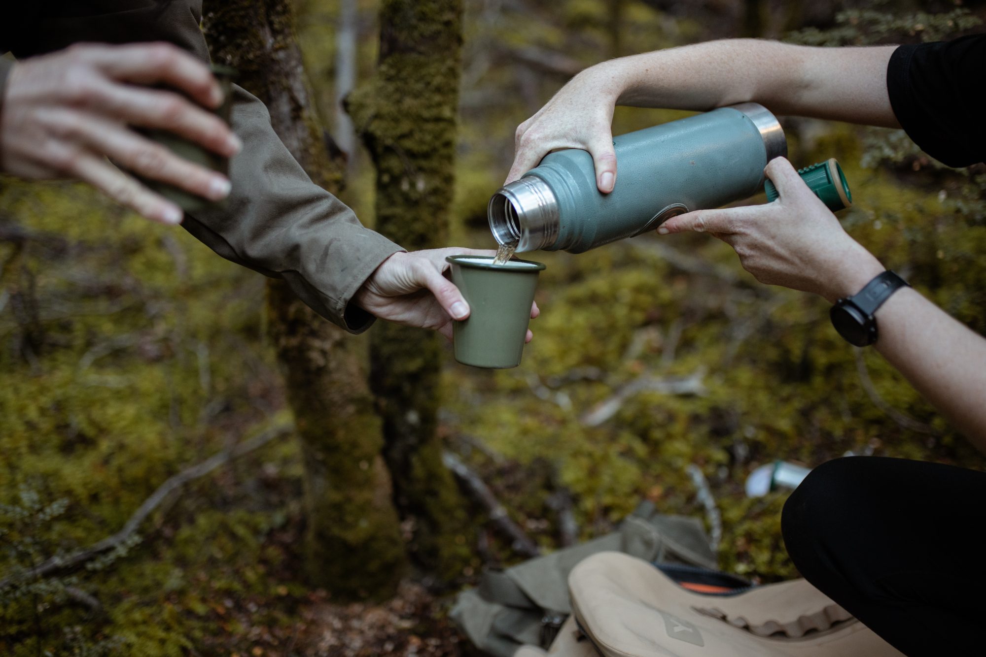 Forest-Bathing_LHS_Autumn-Wellness-Shoot-2025_Francine-Boer