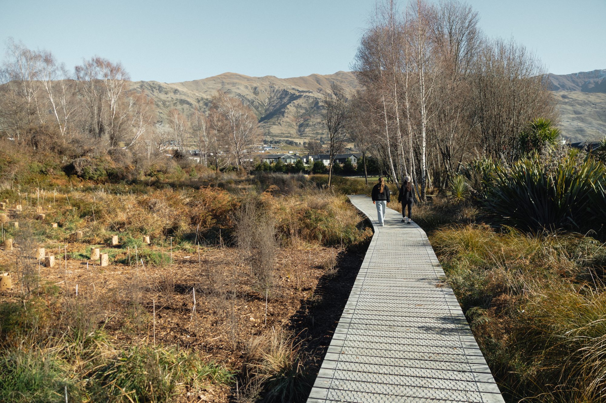 Wanaka Scenics Winter
