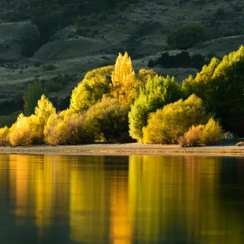  New Zealand Photography Workshops: Preserving Landscapes Through Photography thumbnail
