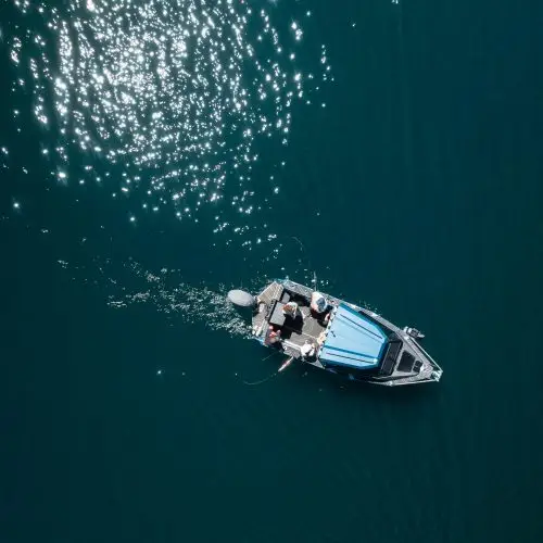  Catch a Fish: Reimagining fishing in Wānaka thumbnail