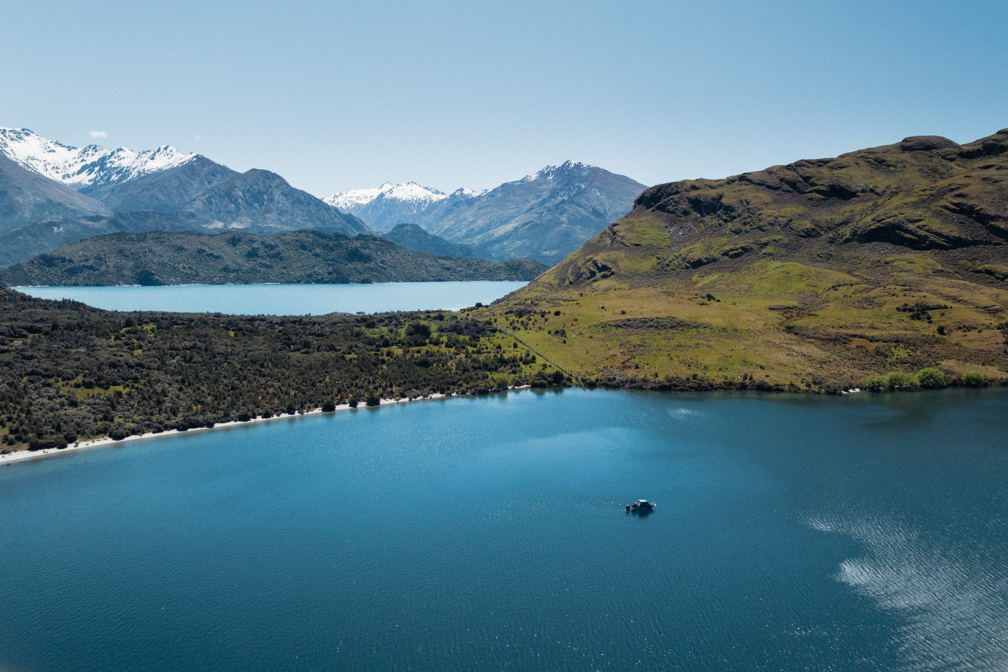 defaultCatch a Fish x Wai Wanaka