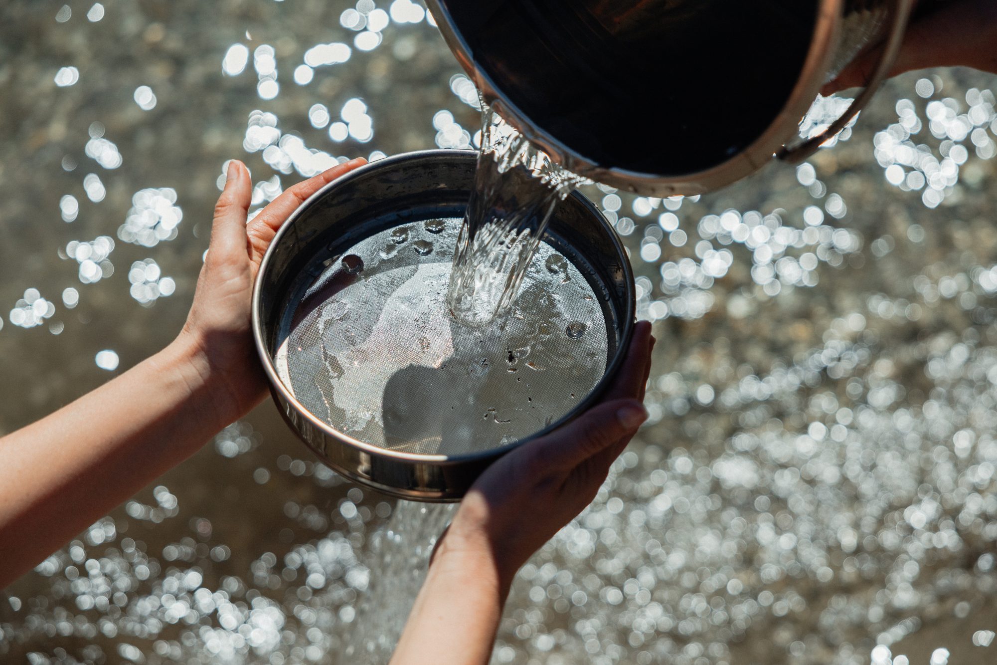 Catch a Fish x Wai Wanaka