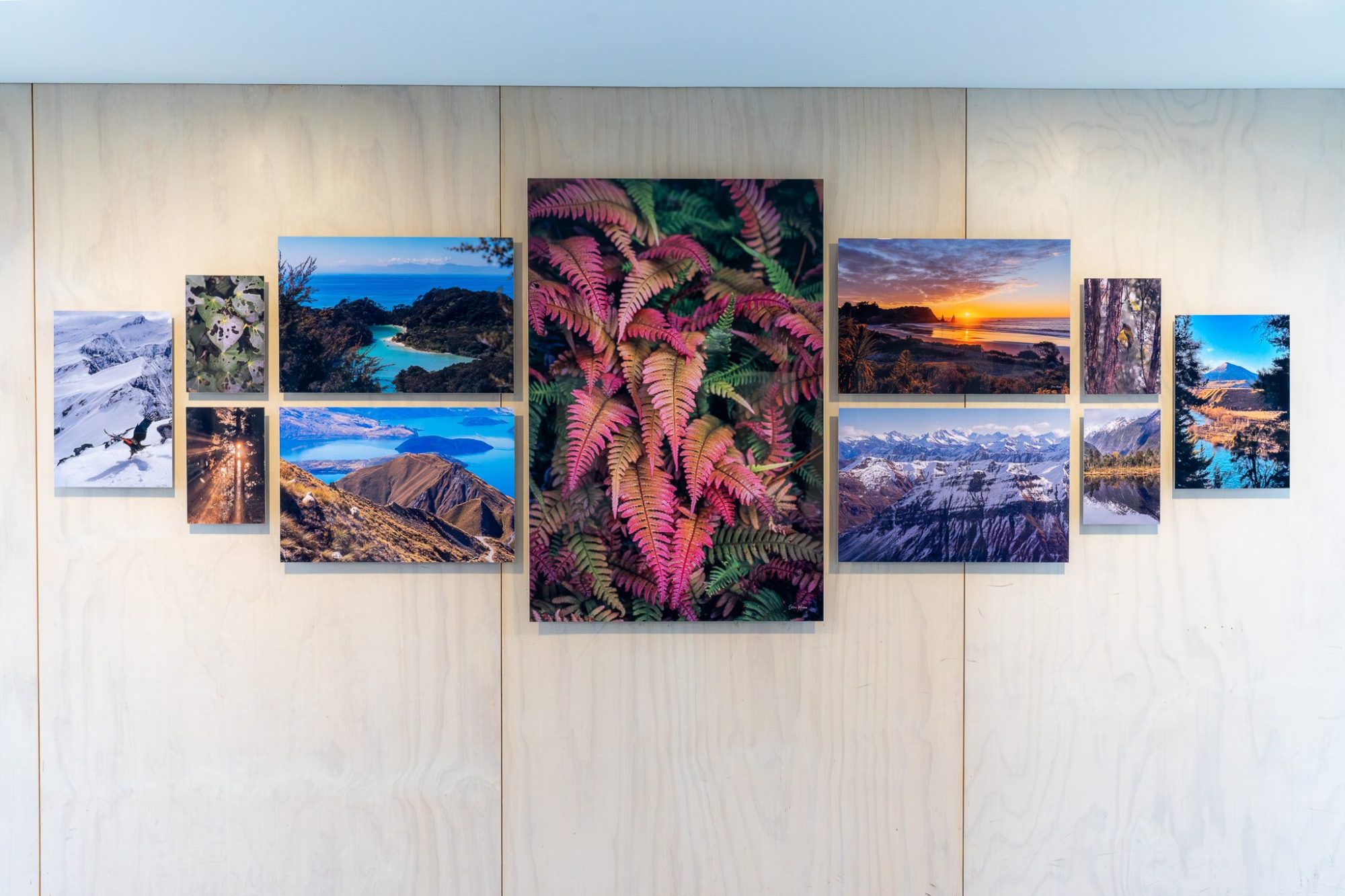 Sterre Heijnen_05.png