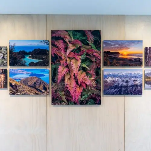  Breathe Aotearoa: Creativity, Connection, and Giving Back thumbnail