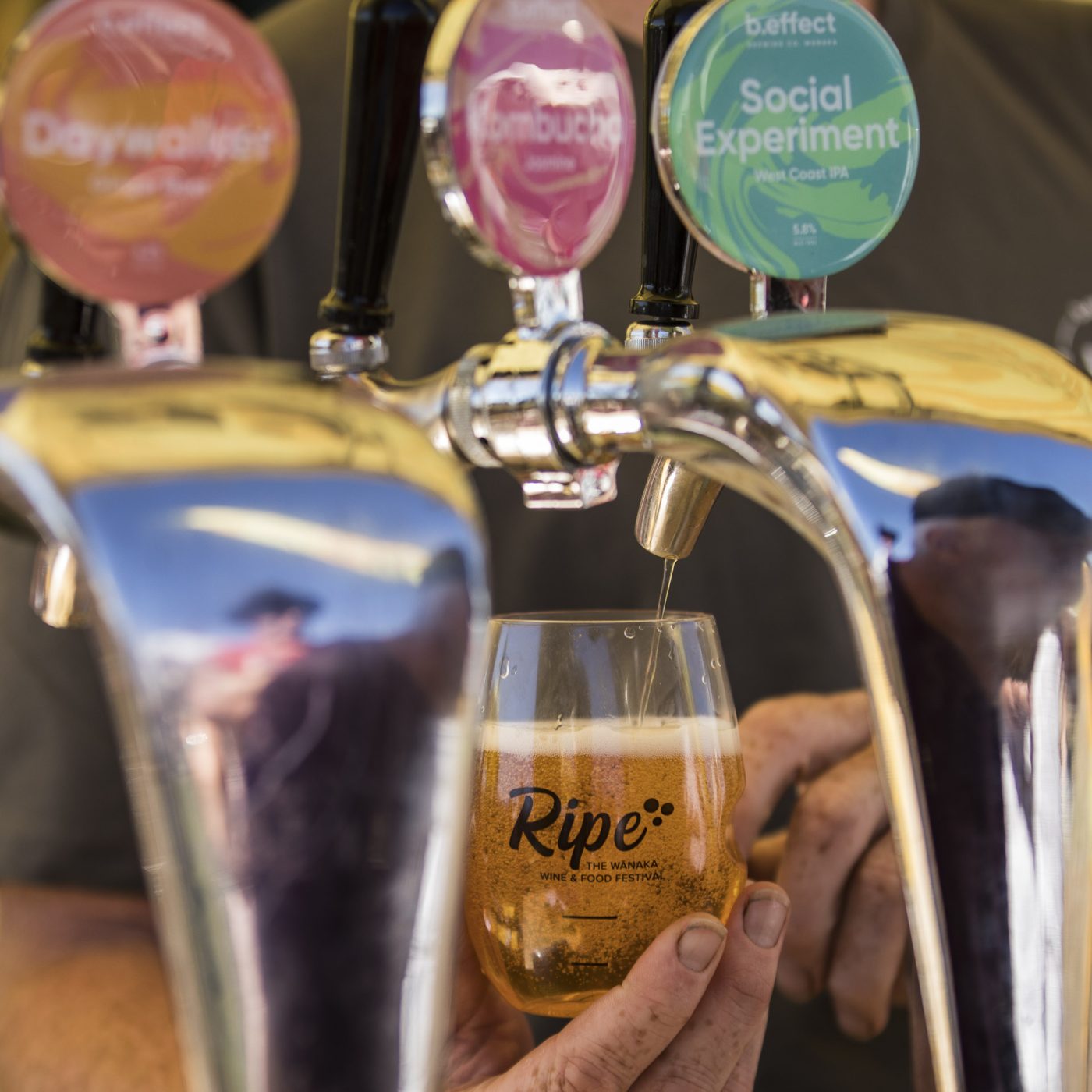 (A)Wanaka-Feb-Summer-Ripe-Festival-Food-Wine-2022