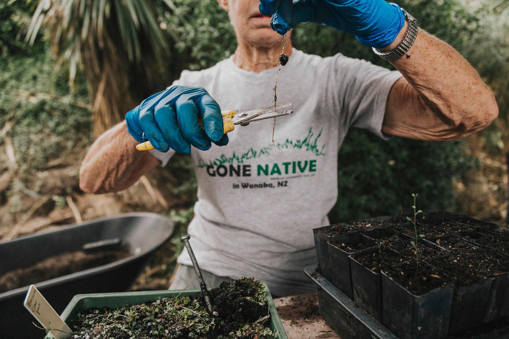 Feature_Image_JPG-Wanaka-Te-Kakano-Aotearoa-Trust-nursery-MollyHope 122