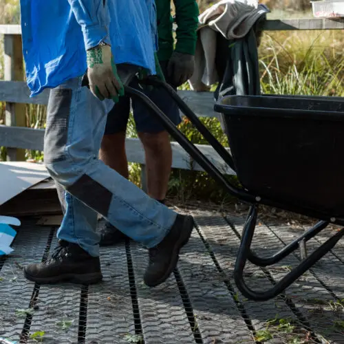  Why we volunteer: 5 locals on the joy of giving back. thumbnail