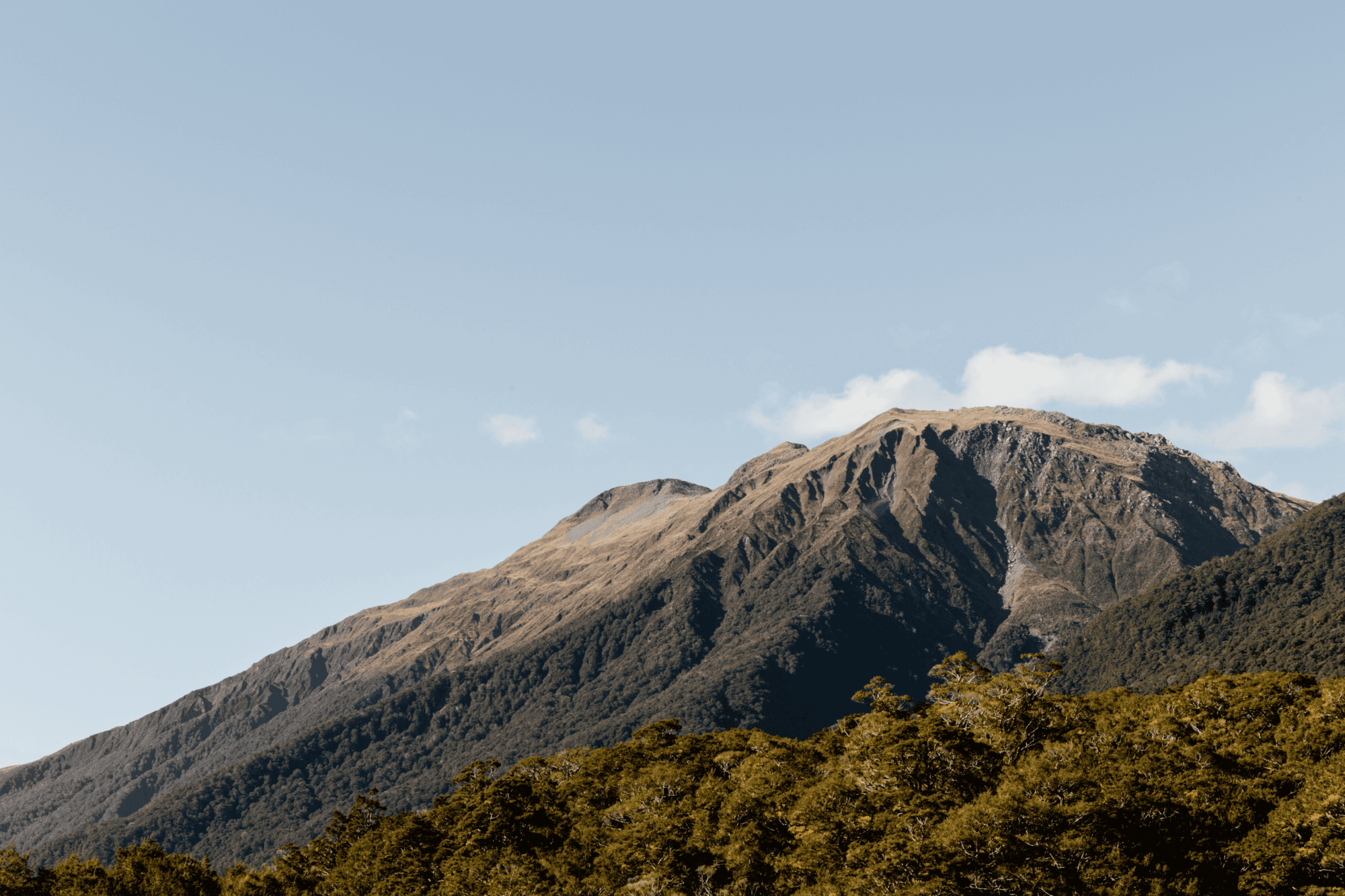 Mt Aspiring National Park
