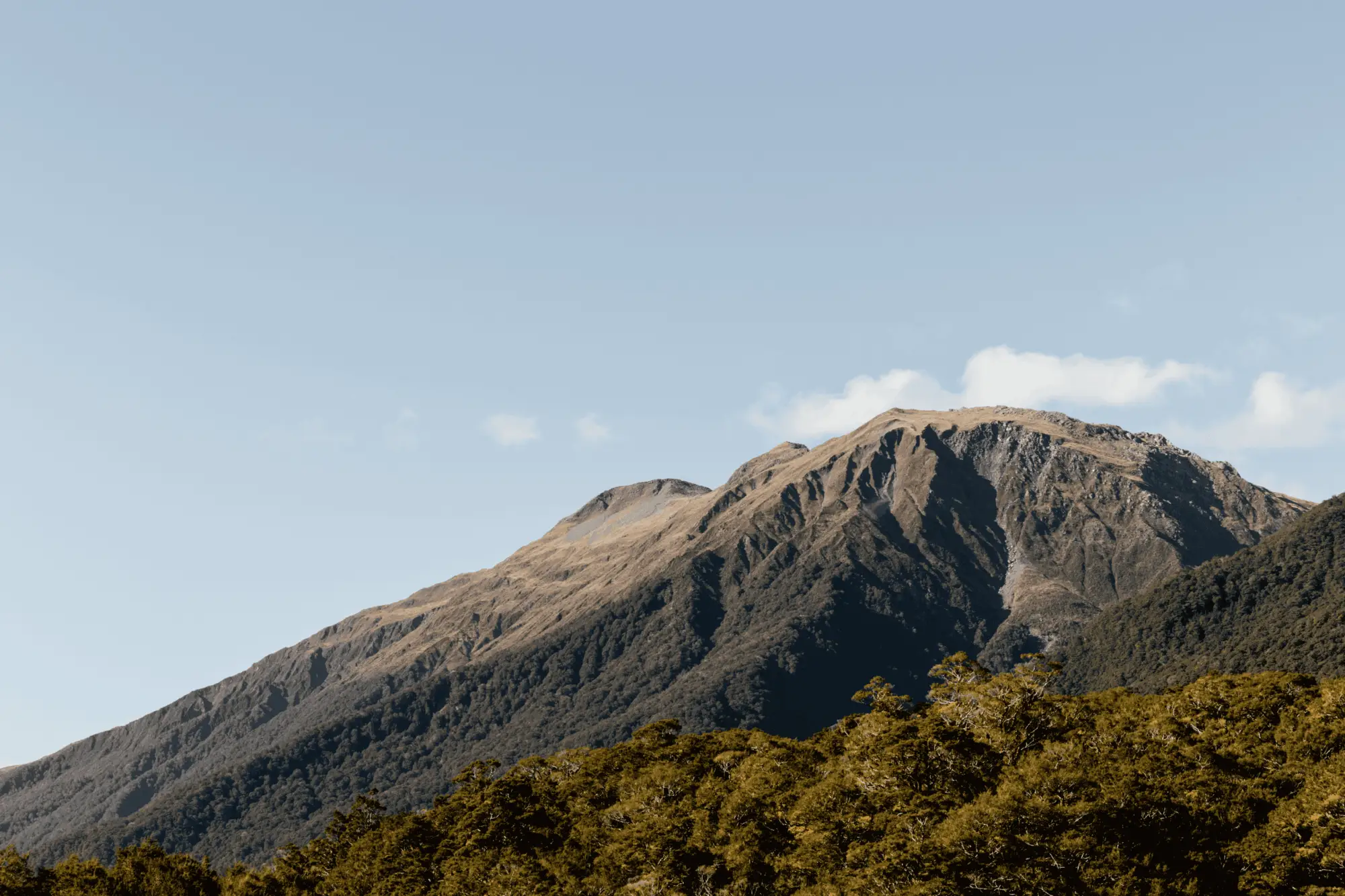 Mt Aspiring National Park