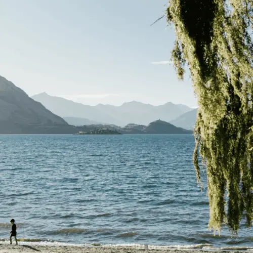  The Complete Guide to Regenerative Travel in Wānaka thumbnail